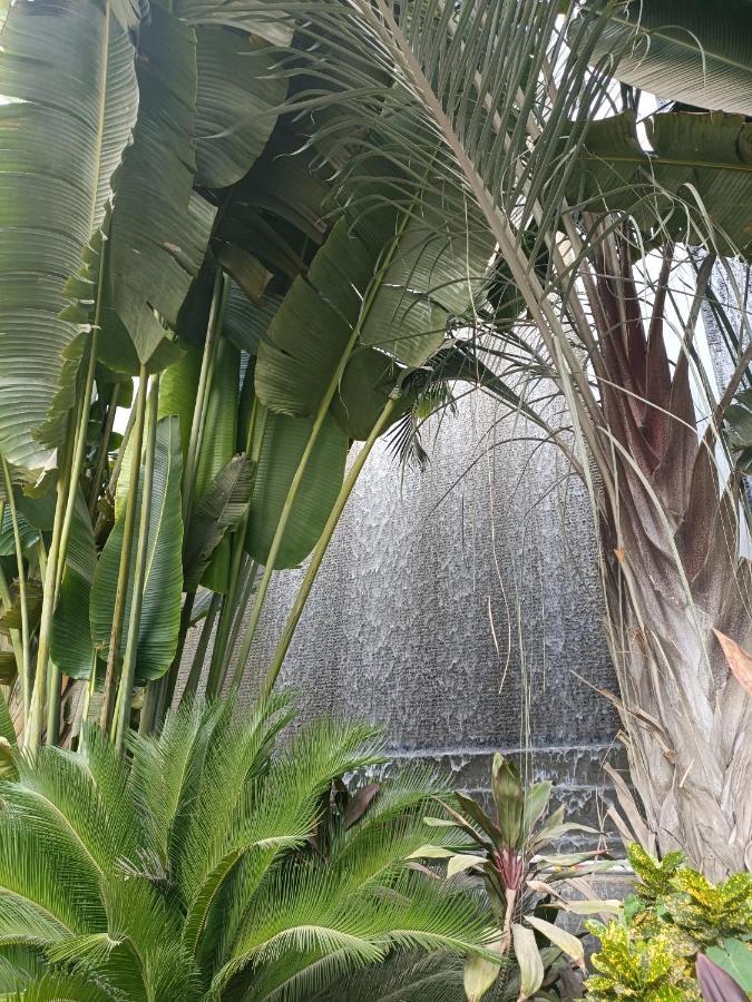 Sheraton Ocean 603 - Private